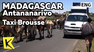 【K】Madagascar Travel-Antananarivo[마다가스카르 여행-안타나나리보]택시 브루스/Taxi Brousse/Transportation/Bus/Road