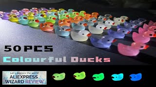 50PCS Luminous Mini Ducks Moss Microlandscape Miniature Duck Figurines Fairy Garden Review