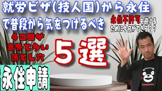 技人国から【永住申請】普段から注意すべき５選！不許可にならない為の注意事項を解説