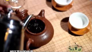 茶頻道《百姓茶典》茶道之髙沖低斟