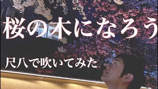 AKB48 【桜の木になろう】　尺八で演奏してみた　cover by SHAKUHACHI 川村葵山　kawamurakizan