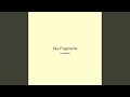 Sky Fragments