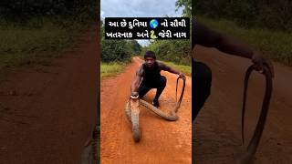 આ છે 🌎દુનિયા નો સૌથી જેરી અને ખતરનાક નાગ 🐍~World's most Biggest Snake #shortsfeed #shorts #gujarati