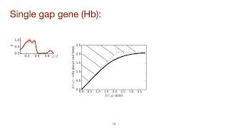 Biophysics Symposium: Marianne Bauer, TU Delft