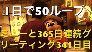 ミニーと365日連続グリーティング341日目〜1日で50ループ〜 my Disney tour day 341 I meet minnie mouse