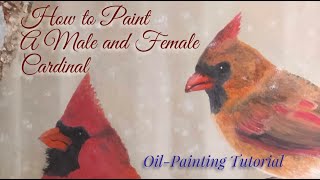 How to Paint a Male and Female Cardinal with Oil Paint