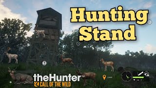 Harvest a Deer from a Hunting Stand | The Hunter Call of the Wild Gameplay | Emerald Coast Australia