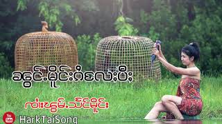 ၼွင်ႉမိူင်းၵႆလႄႈပီႈ ၸၢႆးၽွမ်ႉသႅင်မိူင်း น้องมืองไกและปี จายฟ่อมแสงเมือง เพลงไตยเพราะๆ HD