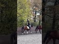 Rising trot without stirrups (don't judge it's my 2 time doing it!)