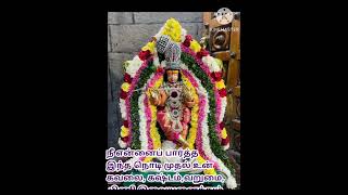 5-ஆம் திருநாள் அன்று திருப்புன்னை சப்பரத்தில் நவநீத கிருஷ்ணன் அலங்காரத்தில் ஐயா அருளிய காட்சி