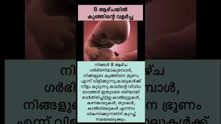 അമ്മയുടെ ഉള്ളിൽ കുഞ്ഞ് വളരുന്നു😍Pregnancy Week 8🤰🏻👶🏻Week by Week Baby Development #shorts