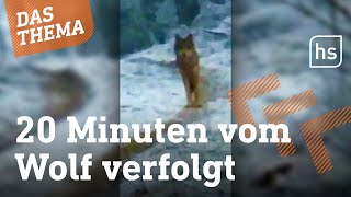 Greifenstein: Wolf verfolgt Reiterinnen im Wald | hessenschau DAS THEMA