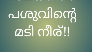 പ്രസവസമയത്തെ പശുവിന്റെ മടി നീര് മാറുവാൻ....