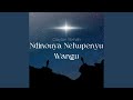 Ndinouya Nehupenyu Wangu