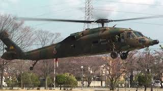 UH-60JA Black Hawk \u0026 OH-6D Cayuse | Landing | Camp Shinmachi 2017 新町駐屯地