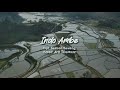 Indo Ambe - Aris Taoemesa (Cover) || Cipt. Salmon Sewang