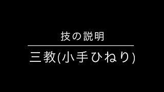 三教、技の説明