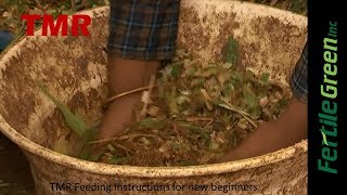 Fertile Green Inc TMR Feeding Instructions for Beginners