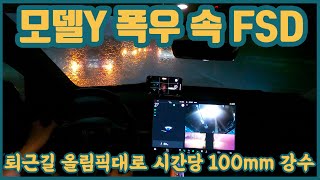 시간당 100m 폭우속 FSD | 모델Y | 퇴근길 | 올림픽대로