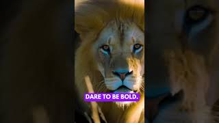 Dare to be bold , the lion mentality 🦁🦁🦁 #motivation #lion #personaldevelopment #lionmentality