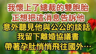 《隱藏孕肚離婚》第01集：我懷上了總裁的雙胞胎，正想把這消息告訴他，意外聽見他與公公的談話，我留下離婚協議書，帶著孕肚悄悄飛往國外……#戀愛#婚姻#情感 #愛情#甜寵#故事#小說#霸總