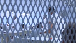 Helping inmates battle addiction