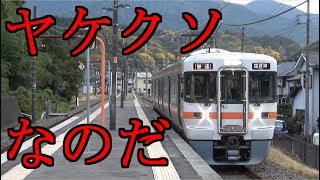 徒歩○時間!?『足柄駅乗換』は超苦行 番外編