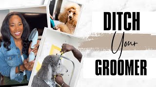 DIY Pet Grooming: Say Goodbye to Groomers