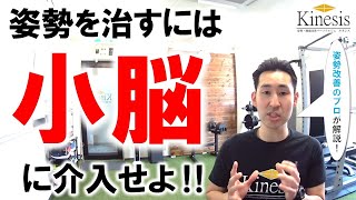 「姿勢を本当に治すなら、小脳へのアプローチは絶対です」名古屋の姿勢・機能改善パーソナルジムKinesis代表トレーナー宮奥丞