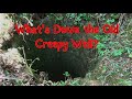 What's Down the Old Creepy Well?