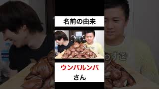 名前の由来は何ですか？【切り抜き】#カノックスター #ウンパルンパ #shorts