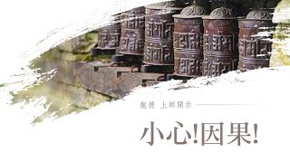 龍德上師：小心 ! 因果