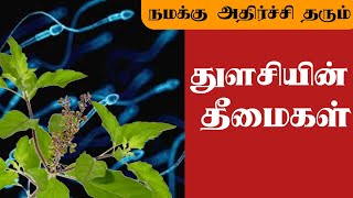 துளசி தரும் தீமைகள் \u0026 நன்மைகள்|Side Effect of basil \u0026Benefits|Thulasi|உணவே மருந்து Epi-3