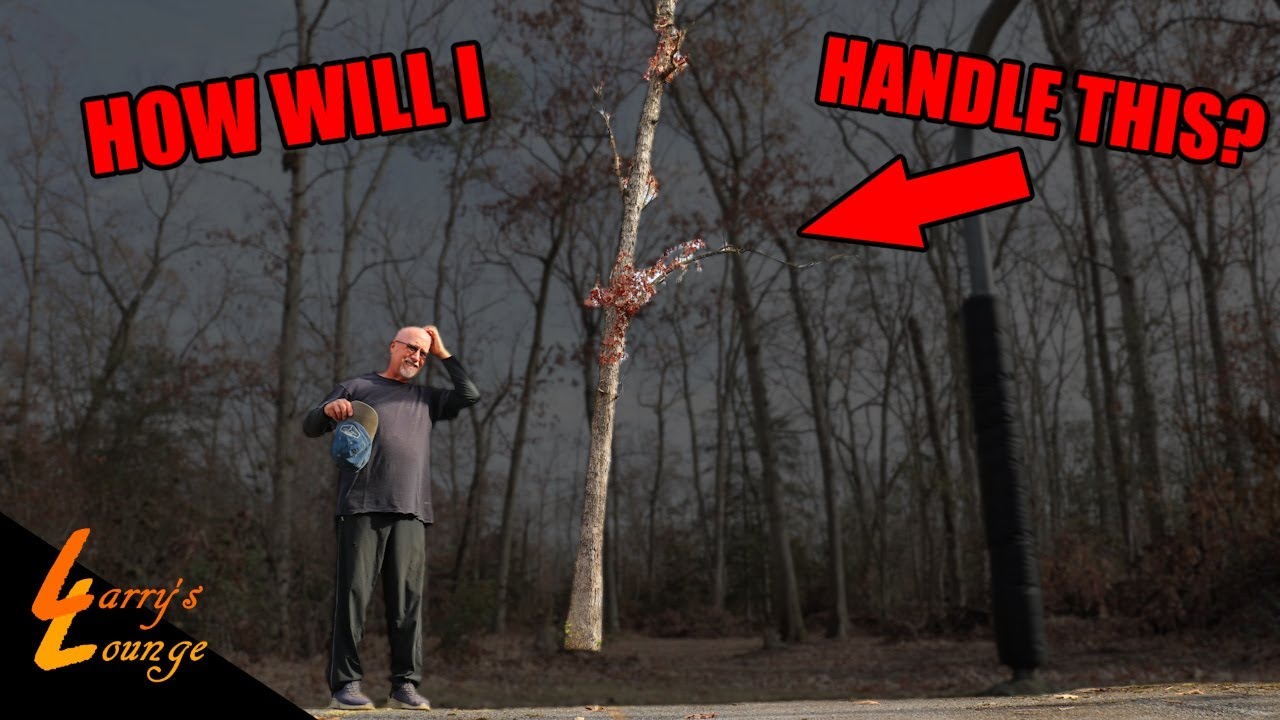 Tricky Tree Removal Youtube