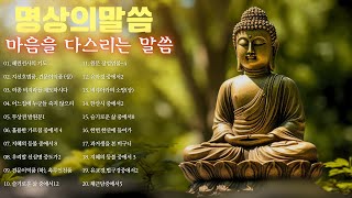 명상의말씀 💐🍂🌵 혜린선사의 기도, 지신호법품, 견문이익품 (상), 여종 비지라를 제도하시다, 어느집에 누군들 죽지 않으리 / 엄주환 낭송