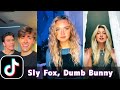 Sly Fox, Dumb Bunny | TikTok Compilation