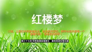 37  红楼梦 第三十七回 秋爽斋偶结海棠社　蘅芜苑夜拟菊花题