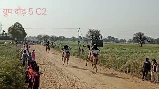 कनीना ऊंट दौड़ 3-3-2023 kanina camel race 2023 unto ki doud