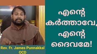 എൻ്റെ കർത്താവേ, എൻ്റെ ദൈവമേ! (Rev. Fr. James Punnakkal)