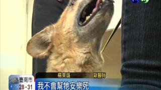 飼主安樂死愛犬 獸醫救活反挨告