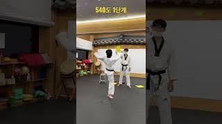 540도 1단계 #태권도 #taekwondo #テコンドー