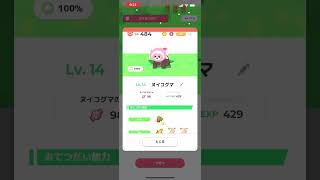 2025年1月2日 リサーチ報告【ポケモンスリープ】