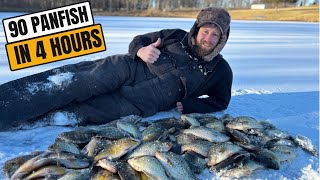 MASSIVE Ice Fishing Haul To Save This Lake!