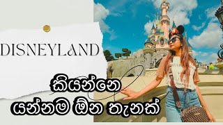 ඩිස්නිලන්ඩ් නම් පිස්සුවක් | Paris disneyland