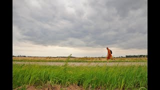 สนทนาธรรมกับ'พระสุธรรม ฐิตธัมโม' เบื้องหลังแรงผลักดัน“เดินเพื่อสันติภาพ\