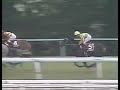 ダイイチルビー 1991年 第21回高松宮杯 gii 優勝馬：ダイタクヘリオス