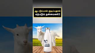 ஆட்டுப்பால் குடிப்பதால் ஏற்படும் நன்மைகள்🤔 | Benefits of Drinking Goat Milk | Shorts Feed | Shorts |