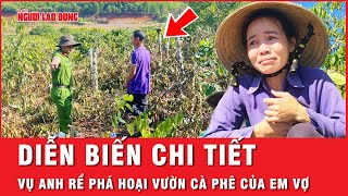 Những chi tiết giờ mới nói: Vụ anh rể phá vườn cà phê để ép em vợ “quan hệ tình cảm” | Thời sự