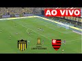 🔴PEÑAROL X FLAMENGO AO VIVO COM IMAGENS | LIBERTADORES 2024 | ASSISTIR JOGO AO VIVO COM IMAGEM