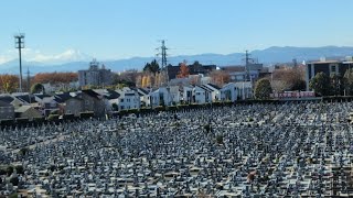 【多摩モノレール】桜街道駅から玉川上水駅までの車窓🚃💨